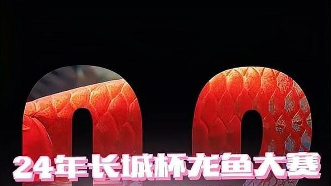 長城杯龍魚大賽冠軍一覽表 長城杯龍魚大賽冠軍一覽表 2025長城杯龍魚大賽 第6張