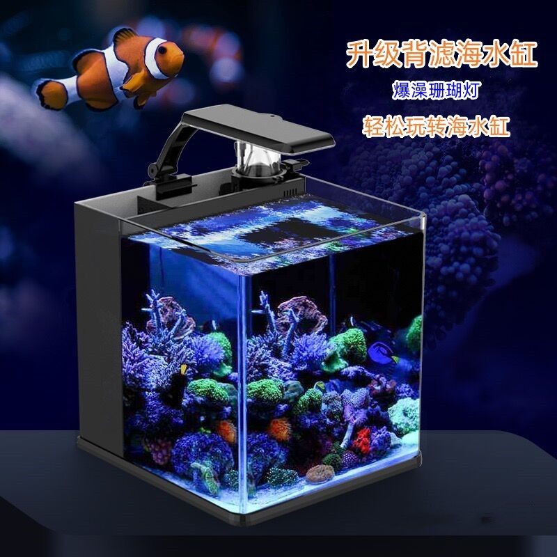 水活力魚缸：水活力魚缸適合養哪些魚類水活力魚缸與其他品牌對比