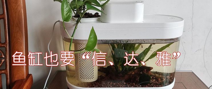 畫法幾何智能魚缸評測：畫法幾何智能魚缸用戶評價匯總,智能魚缸養魚成本分析