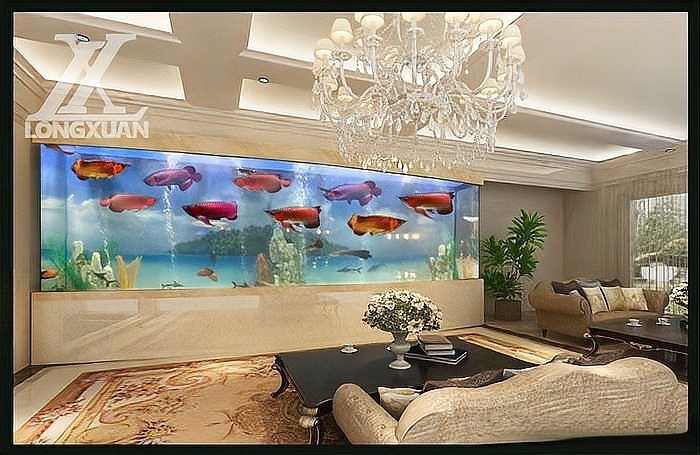 龍魚缸哪個品牌最好最先進的產(chǎn)品