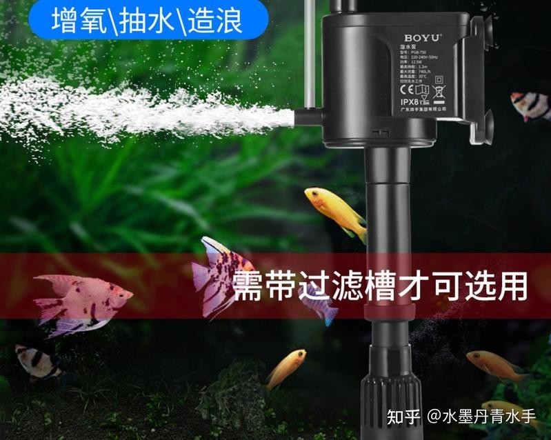 長城杯龍魚水泵的用戶評價如何？