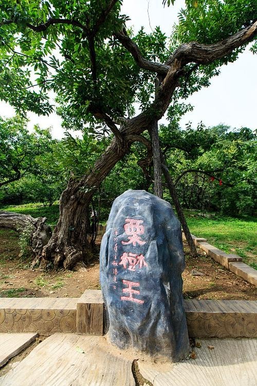 水長城的開放時(shí)間是？ 水長城的開放時(shí)間是？ 2025長城杯龍魚大賽 第8張
