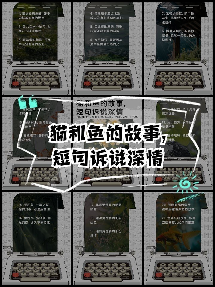 魚和貓在一起的寓意 魚和貓在一起的寓意 龍魚論壇 第3張
