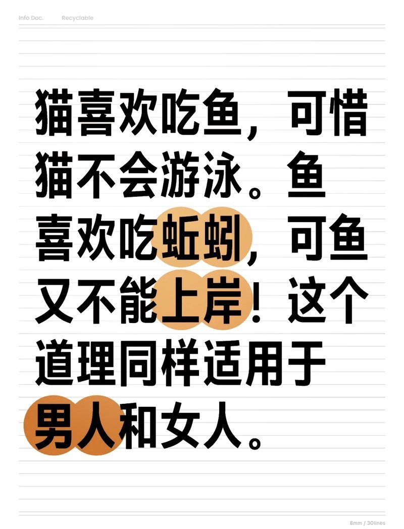 魚和貓在一起的寓意 魚和貓在一起的寓意 龍魚論壇 第4張