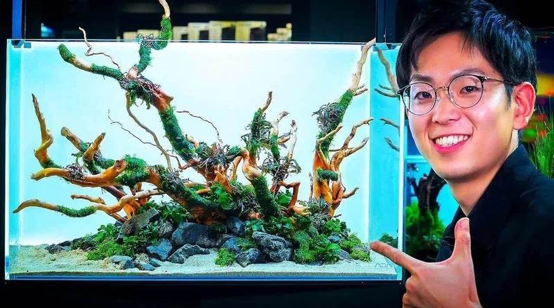 有哪些著名的草缸造景師？