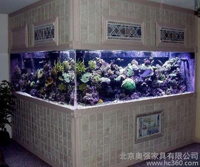 花鳥市場設計中的應用：花鳥市場養護知識花鳥市場的養護知識花鳥市場的養護知識