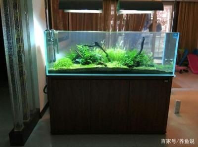 魚缸過濾潛水泵安裝方法（魚缸潛水泵安裝方法）