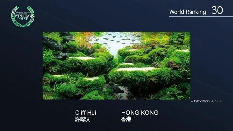有哪些國內知名水草造景師？
