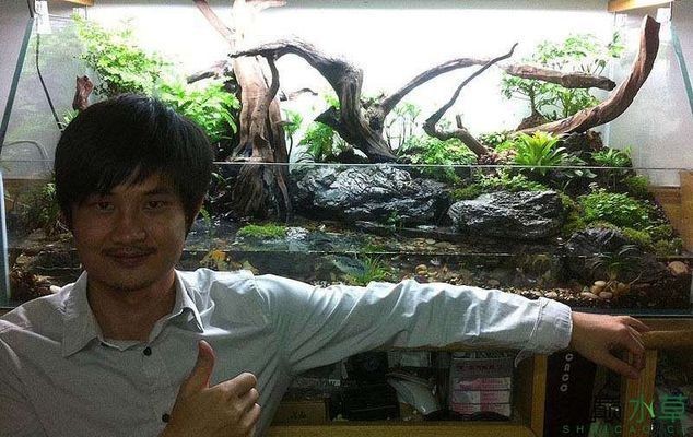 龍魚缸改造水景缸論壇 龍魚缸改造水景缸論壇 魚缸百科 第4張