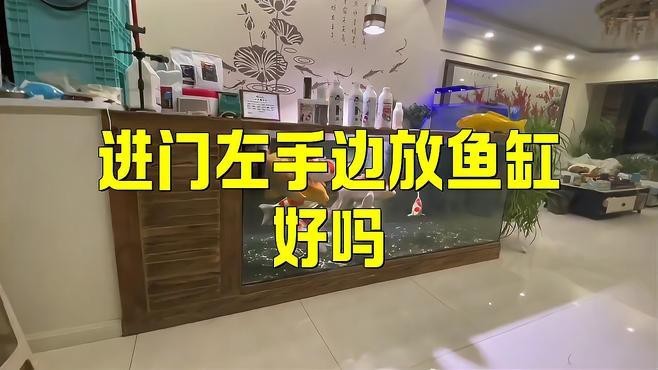 一進門左側放魚缸好不好