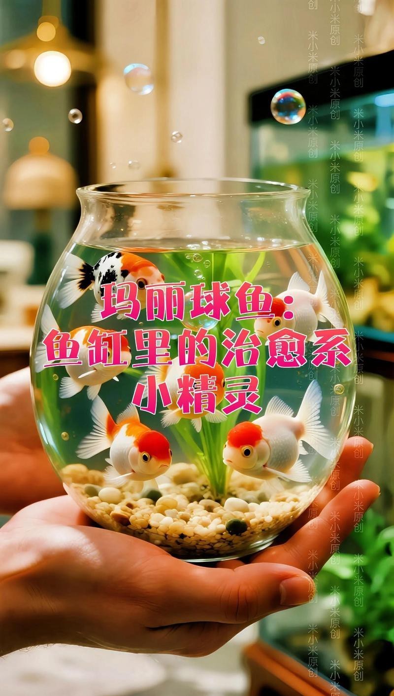 球魚萬的圖片大全 球魚萬的圖片大全 龍魚論壇 第2張