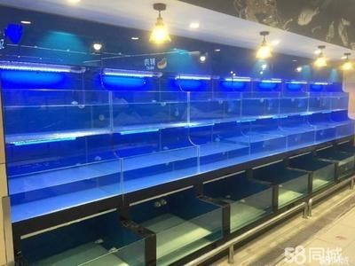 滑縣水族文化探秘滑縣水族文化探秘滑縣水族文化探秘：滑縣一些售賣魚缸的地點