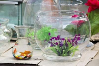 辦公室魚缸如何擺放風水學（辦公室魚缸如何擺放風水）