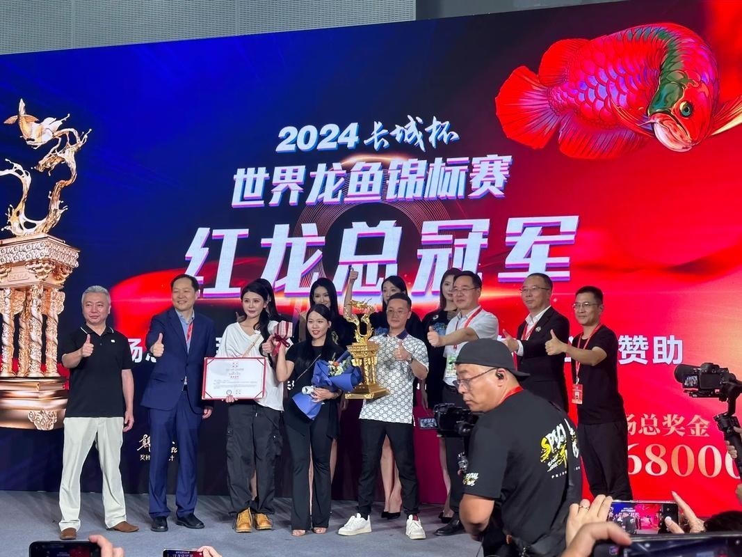 上海長城杯紅龍魚比賽 上海長城杯紅龍魚比賽 2025長城杯龍魚大賽 第1張