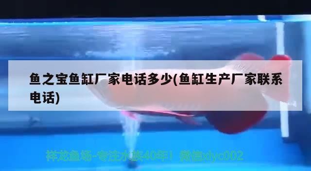 東莞市黃江龍見田駿逸錦鯉店