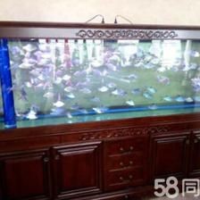 新買來的魚缸怎樣清洗和消毒：剛買來的魚缸不應該直接養魚，而是需要注意以下幾點