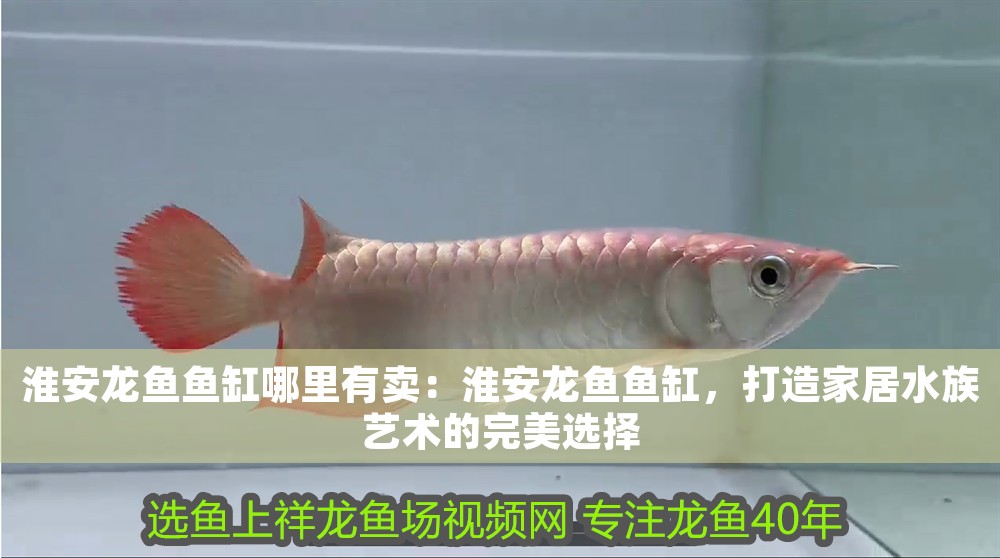 淮安龍魚魚缸哪里有賣：淮安龍魚魚缸，打造家居水族藝術的完美選擇 淮安龍魚魚缸哪里有賣：淮安龍魚魚缸，打造家居水族藝術的完美選擇 魚缸百科 第1張