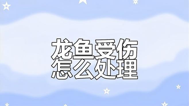 龍魚撞缸后應該如何急救？
