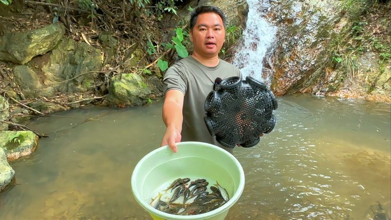 淡水老虎魚叫什么 淡水老虎魚叫什么 龍魚論壇 第6張