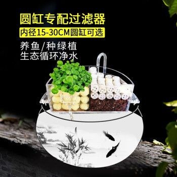 養龍魚花費大嗎 養龍魚花費大嗎 龍魚百科 第4張