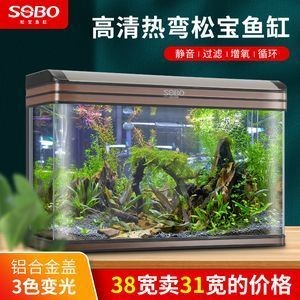 一米魚缸大概多少錢：一米魚缸價格詳細解析，一米魚缸價格受多種因素影響