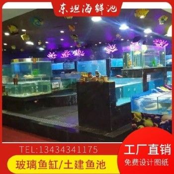 海鮮魚缸設(shè)計(jì)，你需要了解的知識(shí)：海鮮魚缸的設(shè)計(jì)