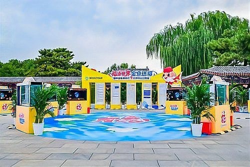 2025年福州金魚大賽的舉辦時間是? 2025長城杯龍魚大賽 第7張 2025年福州金魚大賽的舉辦時間是? 2025年福州金魚大賽的舉辦時間是? 2025長城杯龍魚大賽 第7張
