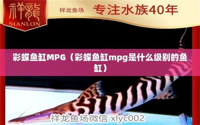 魚缸品質等級排名，魚缸品牌性價比對比