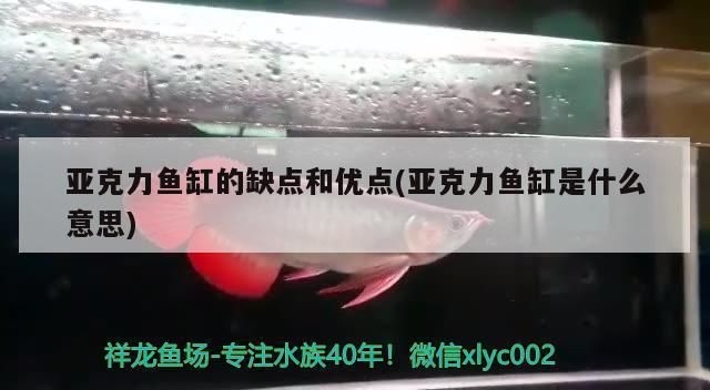 亞克力魚缸怎么樣：亞克力魚缸與玻璃魚缸對(duì)比 亞克力魚缸怎么樣：亞克力魚缸與玻璃魚缸對(duì)比 魚缸百科 第1張
