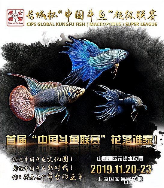 如何報名參加水族長城杯中國斗魚比賽？
