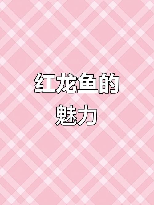 冠軍紅龍魚的市場價格如何？ 冠軍紅龍魚的市場價格如何？ 2025長城杯龍魚大賽 第4張