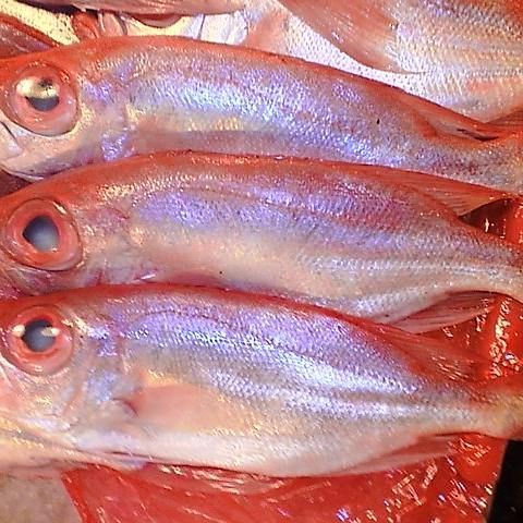 紅娘子魚