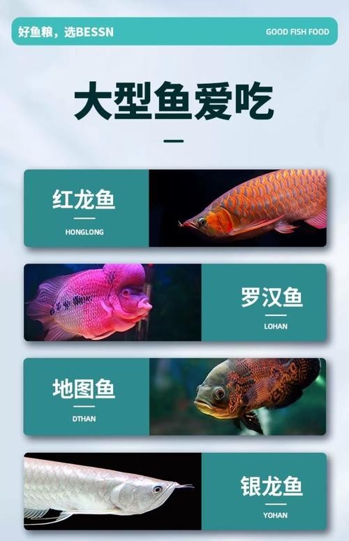 龍魚飼料哪個牌子最好