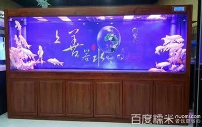 魚缸圖片大全圖100元左右（100元左右的魚缸圖片大全圖100元左右的魚缸圖片大全）
