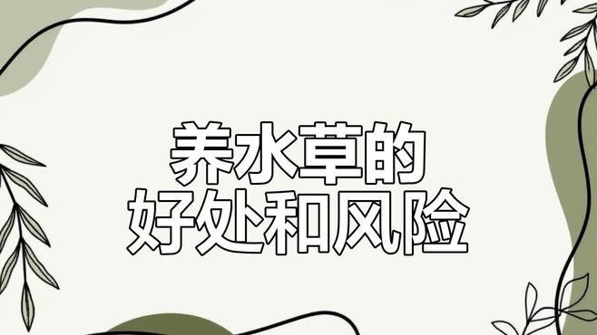 哪里可以購(gòu)買(mǎi)到高品質(zhì)的龍魚(yú)？ 哪里可以購(gòu)買(mǎi)到高品質(zhì)的龍魚(yú)？ 水族問(wèn)答 第6張