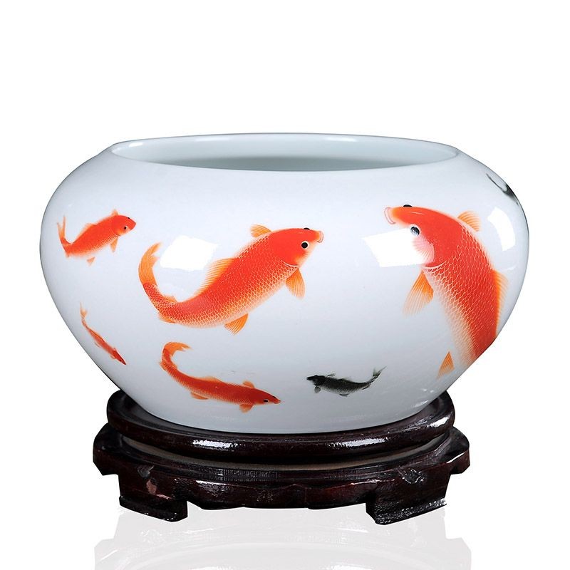 沒有公魚母魚會產卵嗎