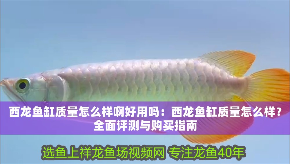 西龍魚缸質(zhì)量怎么樣啊好用嗎：西龍魚缸質(zhì)量怎么樣？全面評測與購買指南 西龍魚缸質(zhì)量怎么樣啊好用嗎：西龍魚缸質(zhì)量怎么樣？全面評測與購買指南 龍魚百科 第1張