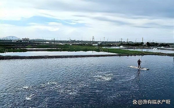 河里毒魚藥哪種最好 河里毒魚藥哪種最好 龍魚論壇 第4張