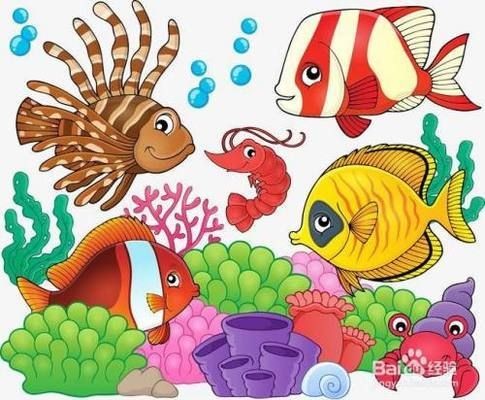花鰱魚在魚缸怎么養殖視頻中的養殖技巧：花鰱魚在魚缸怎么養殖