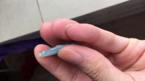 龍魚鱗片裂開后，恢復時間因個體差異和傷口嚴重程度而異，龍魚鱗片裂開后如何護理？