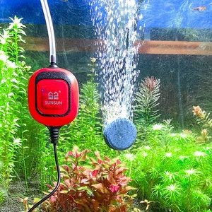魚缸增氧技術的發展趨勢：海利魚缸氧氣泵的安裝