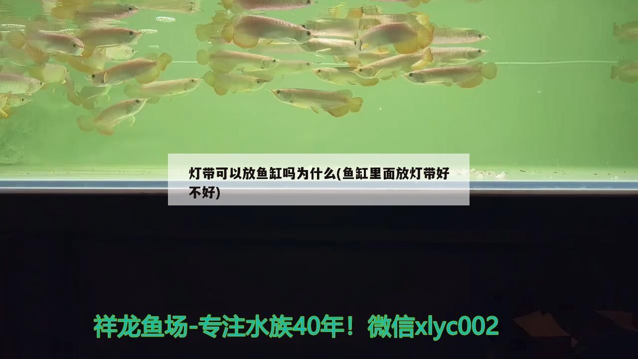華潤萬家生活超市（廣州）有限公司天河北店