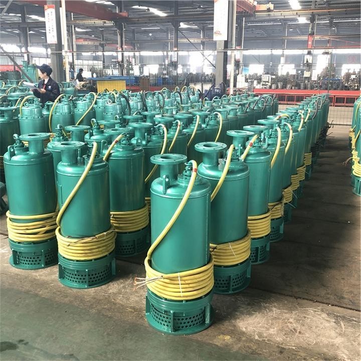 博特水泵的安全防漏電是如何實現的？ 博特水泵的安全防漏電是如何實現的？ 2025長城杯龍魚大賽 第2張