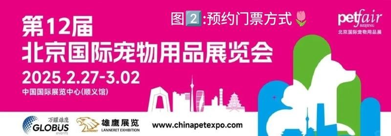 有哪些常見的四腳恐龍魚品種？（“四腳恐龍魚”是一些常見的四腳恐龍魚的品種之一） 有哪些常見的四腳恐龍魚品種？（“四腳恐龍魚”是一些常見的四腳恐龍魚的品種之一） 龍魚百科 第1張