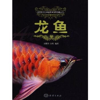 龍魚協(xié)會會長文建強(qiáng) 2025長城杯龍魚大賽 第13張 龍魚協(xié)會會長文建強(qiáng) 龍魚協(xié)會會長文建強(qiáng) 2025長城杯龍魚大賽 第13張