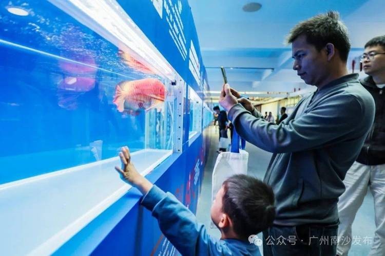 廣州龍魚展會