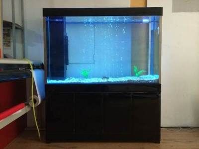 海拉爾二手雜七雜八轉讓/出售海拉爾二手雜七雜八頻道：呼倫貝爾海拉爾區精創水秀免換水生態魚缸商店