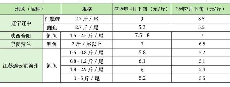 如何區分錦鯉和鯉魚？