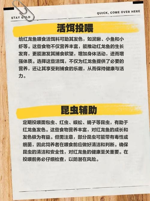 還有沒有其他賽級紅龍的培養步驟？