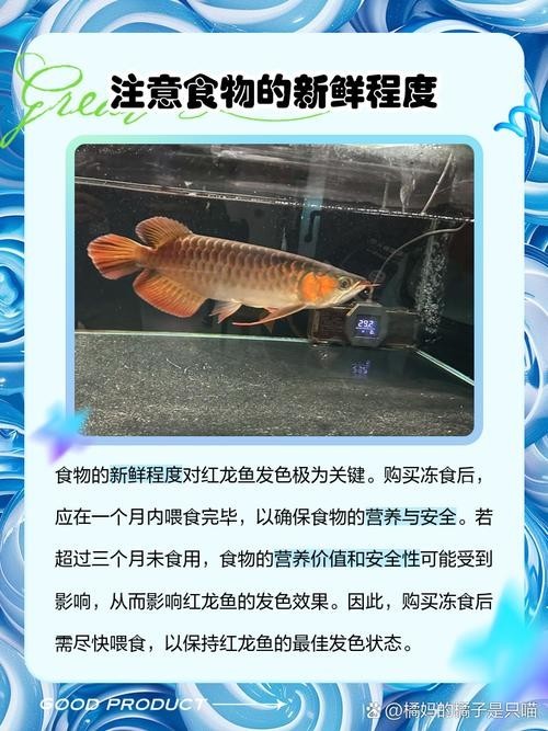 還有沒有其他賽級紅龍的培養步驟？